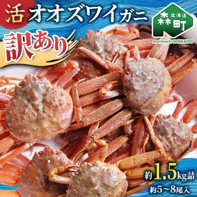 【訳あり】北海道噴火湾産 活オオズワイガニ(中小サイズ)1.5kg詰め込みセット