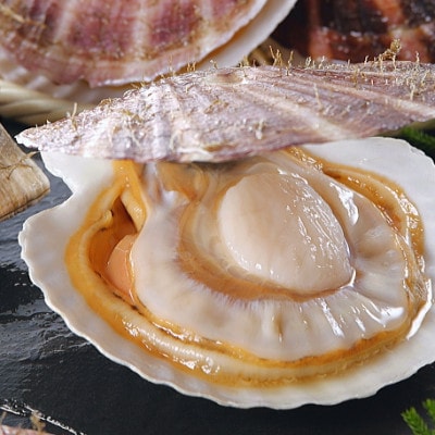 北海道噴火湾 活ホタテ3年貝 3kg
