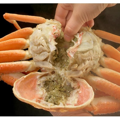 【先行受付】【訳あり】浜茹でオオズワイガニ 3.0kg 詰め込みセット 北海道噴火湾産