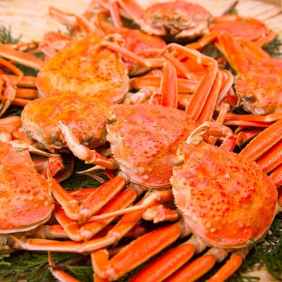 【訳あり】浜茹でオオズワイガニ 1.5kg 詰め込みセット 北海道噴火湾産