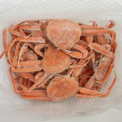 【訳あり】浜茹でオオズワイガニ 1.5kg 詰め込みセット 北海道噴火湾産