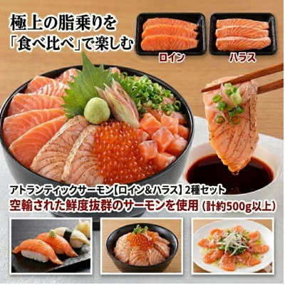 脂の極みを食べ比べ アトランティックサーモン【ロイン&ハラス】2種セット(計約500g以上)鮮度抜群