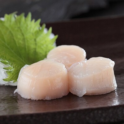 1kg 北海道産 冷凍ホタテ貝柱 500g 2パック 刺身用 お礼品詳細 ふるさと納税なら さとふる