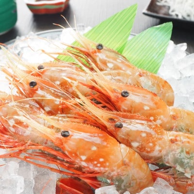 ぼたん海老　大サイズ　500g×1パック