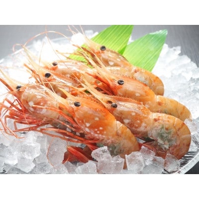 ぼたん海老　大サイズ　500g×2セット(1kg)