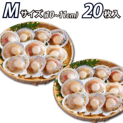 北海道産 ほたて片貝 大サイズ(20枚入)