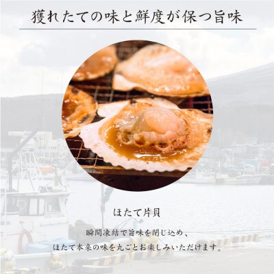 北海道産 ほたて片貝 大サイズ(20枚入)