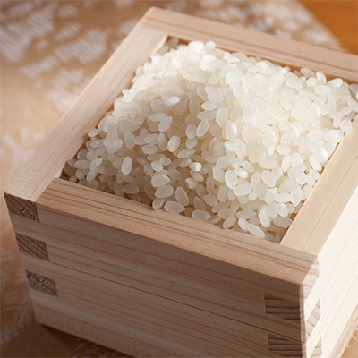 令和7年産 新米 北海道森町濁川産 ゆめぴりか米 10kg 精米