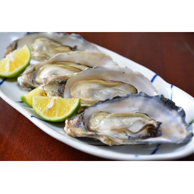 北海道森町　噴火湾産　海の恵みカキのガンガン焼き　殻付きカキ(加熱用)　1.5kg～2kg