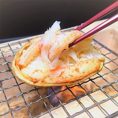 【北海道森町産】ずわい蟹甲羅盛(約60g×8個入)