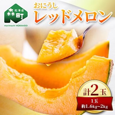 【2024年夏発送】鳥潟農園・おにうしレッドメロン 1.6～2kg×2玉