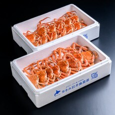 ●北海道噴火湾産●【訳あり】 冷凍ボイルオオズワイガニ(オスメス小サイズ混合)