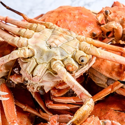 ■北海道噴火湾産■【訳あり】冷凍ボイル済・オオズワイガニ 約4.0kg(オスメス小サイズ混合)