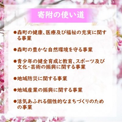 【返礼品なし】北海道森町 もりまち応援寄附金 7,000円