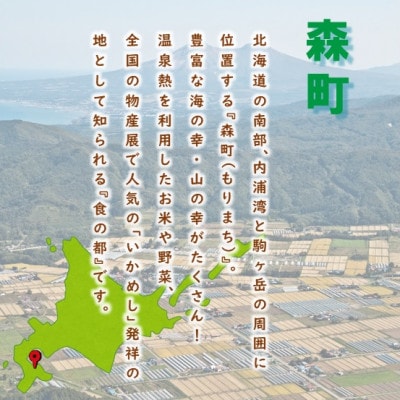 【返礼品なし】北海道森町 もりまち応援寄附金 7,000円