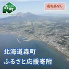 【返礼品なし】北海道森町 もりまち応援寄附金 500,000円