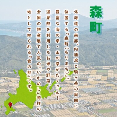 【返礼品なし】北海道森町 もりまち応援寄附金 600,000円
