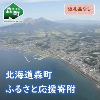 【返礼品なし】北海道森町 もりまち応援寄附金 1,000,000円