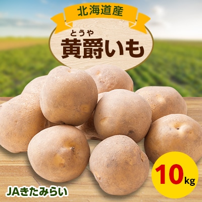 JAきたみらい「黄爵(とうや)いも」　10kg