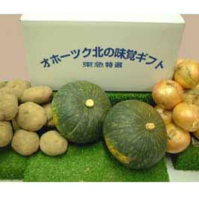 JAきたみらい「男爵芋・玉葱・南瓜」セット