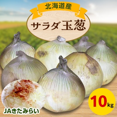 JAきたみらい　サラダ玉葱　10kg