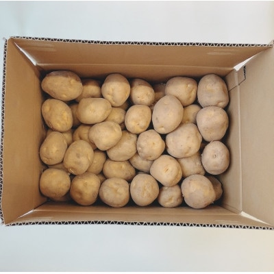 JAきたみらい「男爵いも」　10kg