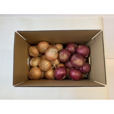 JAきたみらい「玉葱×5kg」・「赤玉葱(くれない)×4kg」セット