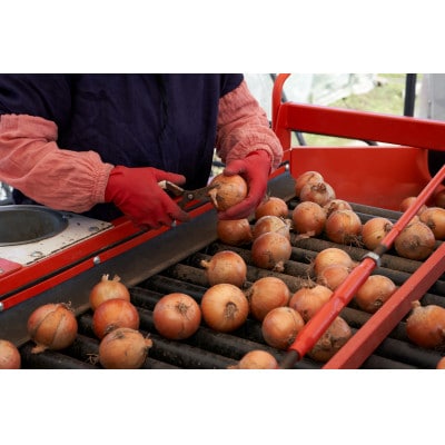 UNO ORGANIC FARM　北海道訓子府産　オーガニック玉ねぎ　5kg　【有機JAS認証】