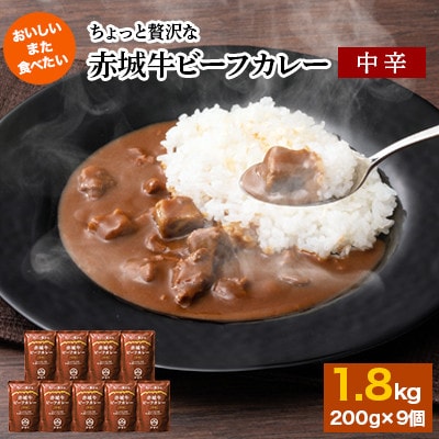 【赤城牛ビーフカレー】ちょっと贅沢な赤城牛ビーフカレー　中辛　180g×9個