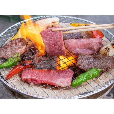 赤城和牛本格焼肉BBQセット600g