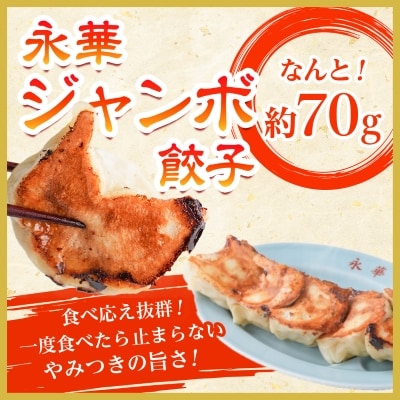 佐野餃子(大)10個2人前×2パックと佐野餃子(中)24個4人前×2袋