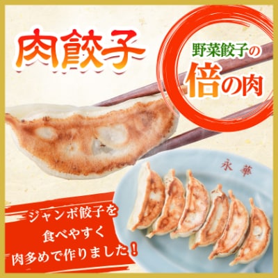 【佐野餃子(中)肉餃子24個4人前】×2袋と【佐野餃子(中)野菜餃子24個4人前】×2袋