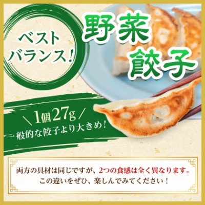 【佐野餃子(中)肉餃子24個4人前】×2袋と【佐野餃子(中)野菜餃子24個4人前】×2袋