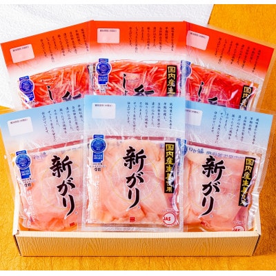 国産 新がり・国産 紅しょうがセット