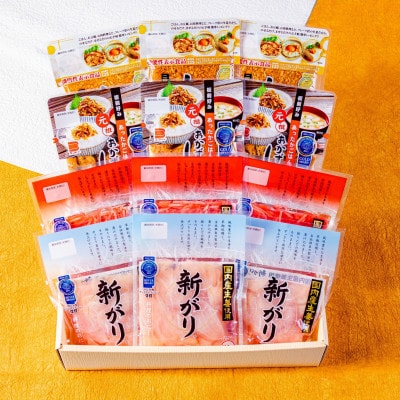 生姜ざんまいセット