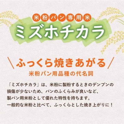 お米の粉ミズホチカラ パン用450g×10袋