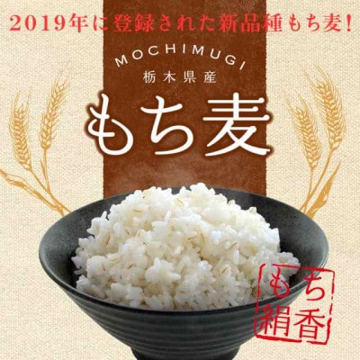 栃木県産もち絹香 800g×5袋