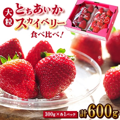 【春イチゴ】 食べ比べ!大粒『スカイベリー』、『とちあいか』300g×1パックずつ