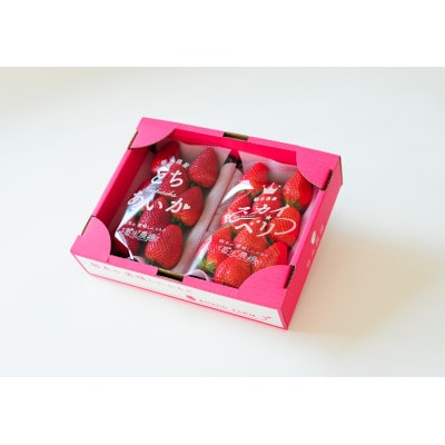 【春イチゴ】 食べ比べ!大粒『スカイベリー』、『とちあいか』300g×1パックずつ