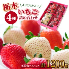 【春いちご 】栃木のいちご4種詰め合わせセット!(300g×4パック)