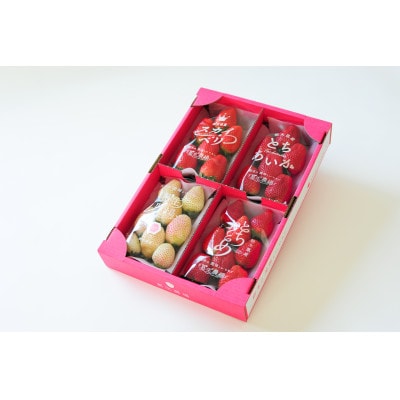 【春いちご 】栃木のいちご4種詰め合わせセット!(300g×4パック)