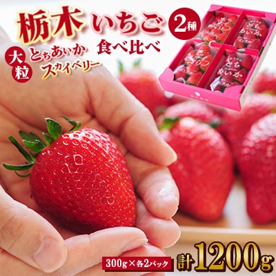 豪華!栃木イチゴ2種(スカイベリー・とちあいか)大粒 食べ比べセット (300g×4パック)