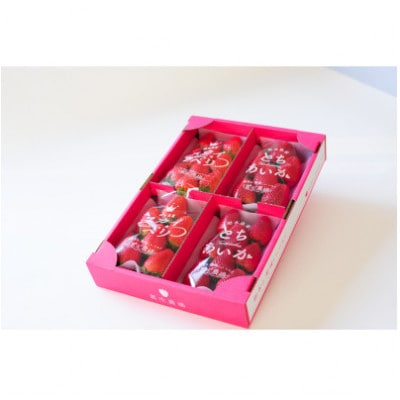 豪華!栃木イチゴ2種(スカイベリー・とちあいか)大粒 食べ比べセット (300g×4パック)