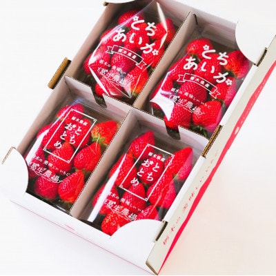 新鮮! 『とちおとめ』・『とちあいか』 (260g×4パック)　食べ比べセット