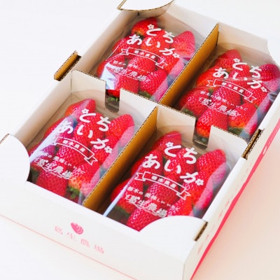 『葛生農場』新鮮!!栃木の新品種　『とちあいか』(260g×4パック)