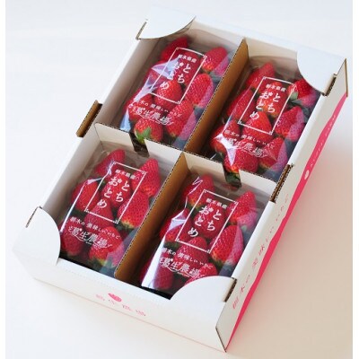 香りと酸味が魅力!!日本の定番『とちおとめ』　(260g×4パック)