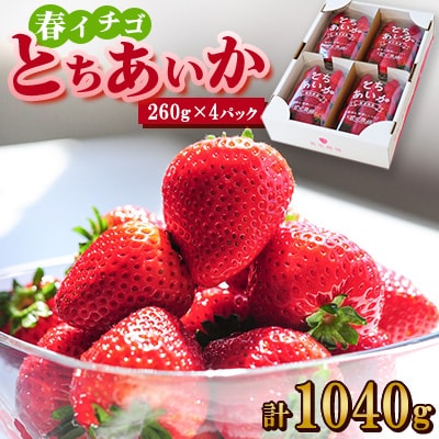 【春イチゴ】『とちあいか』(260g×4パック)
