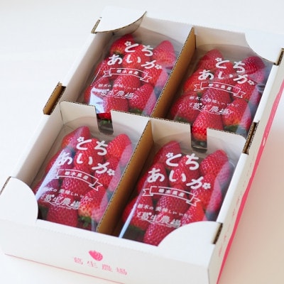 【春イチゴ】『とちあいか』(260g×4パック)