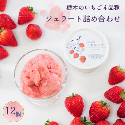栃木のいちご4品種 ジェラート詰め合わせ 12個(4種×各3)