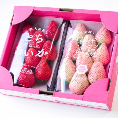 紅白いちご(とちあいか、ミルキーベリー)大粒 詰め合わせ(300g×1パックずつ)